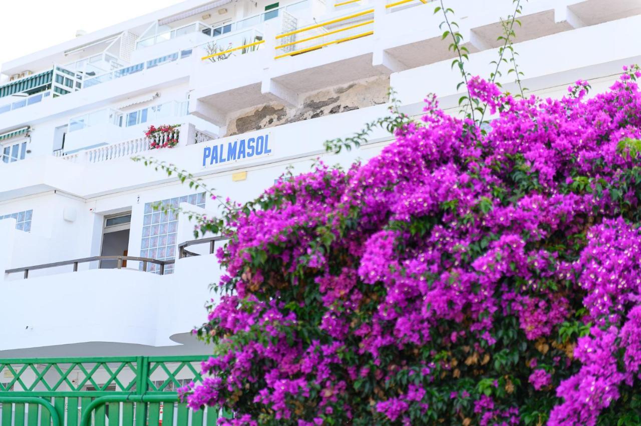 Palmasol Apartamentos Porto Rico Exterior foto